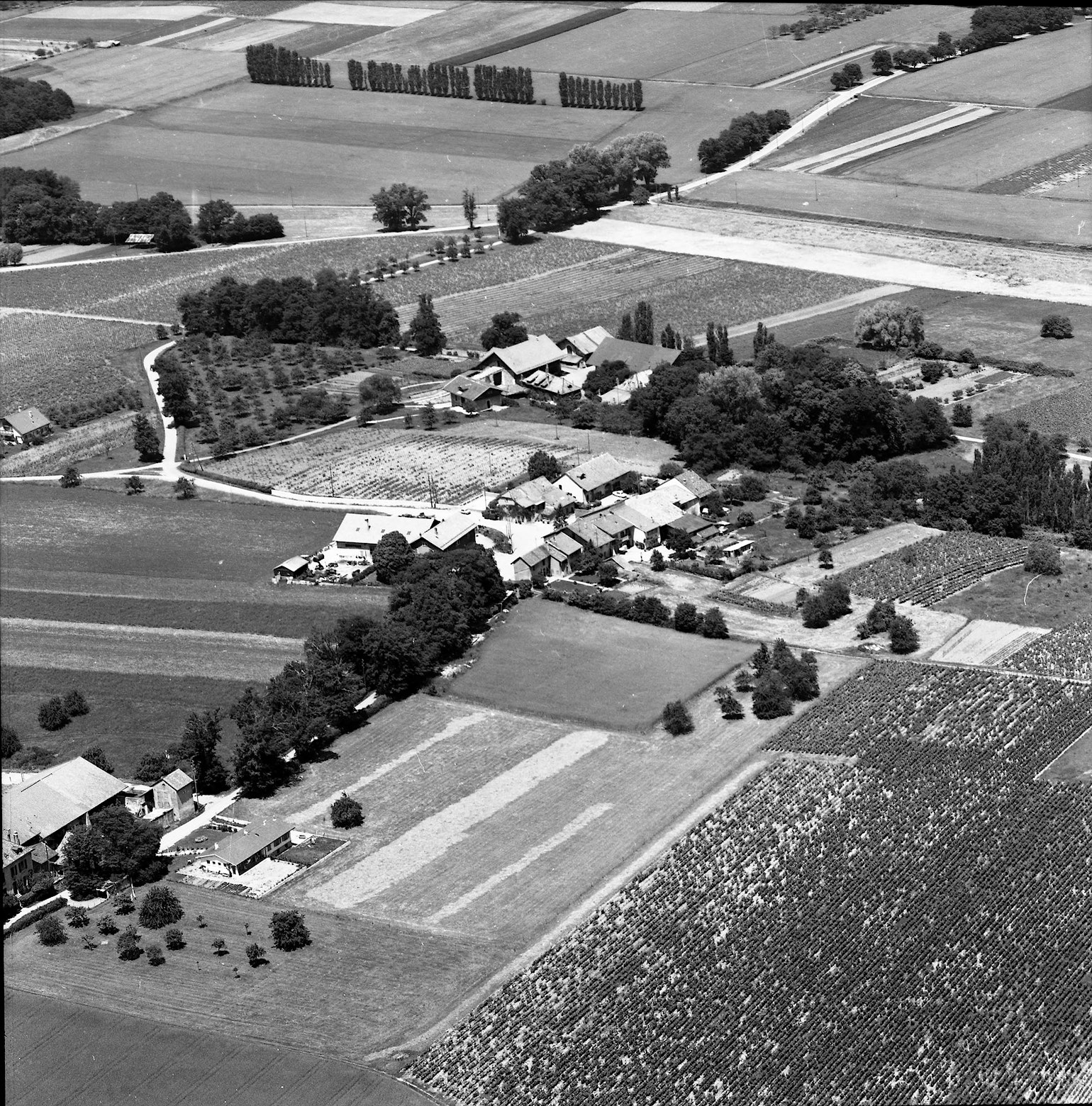Plan de site - Carre d'Amont et Carre d'Aval